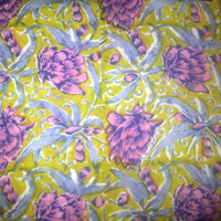 Hand Block Fabric